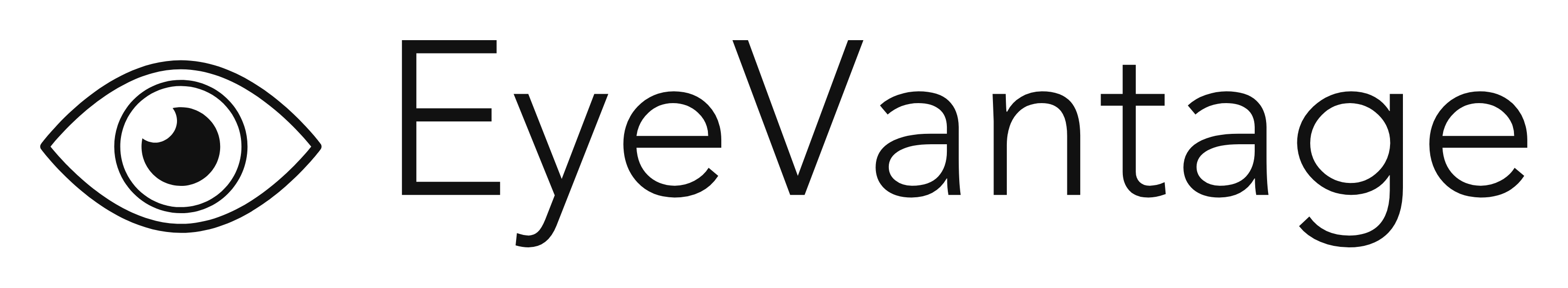 Website Logo